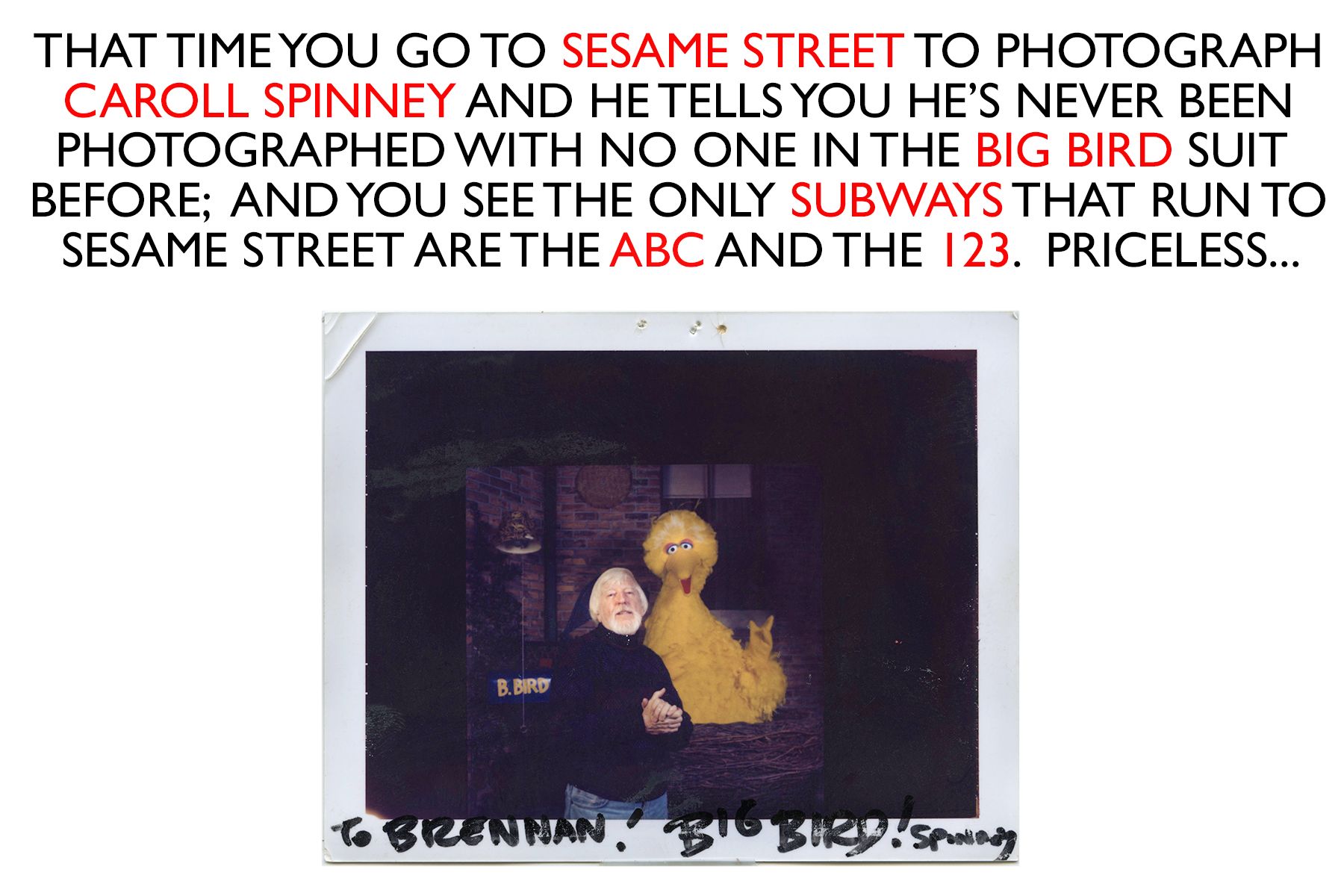 SPINNEY BIG BIRD HOMEPAGE.jpg