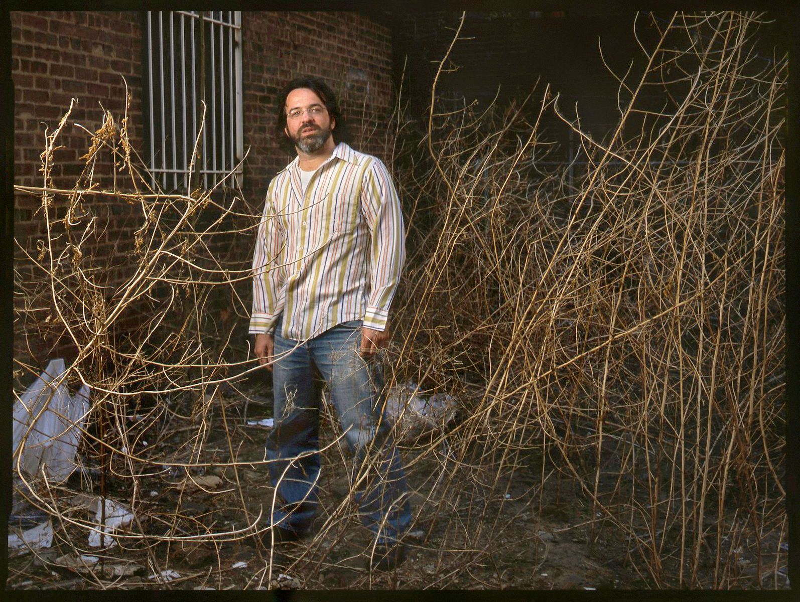 JOE PERNICE  /  THE PERNICE BROTHERS