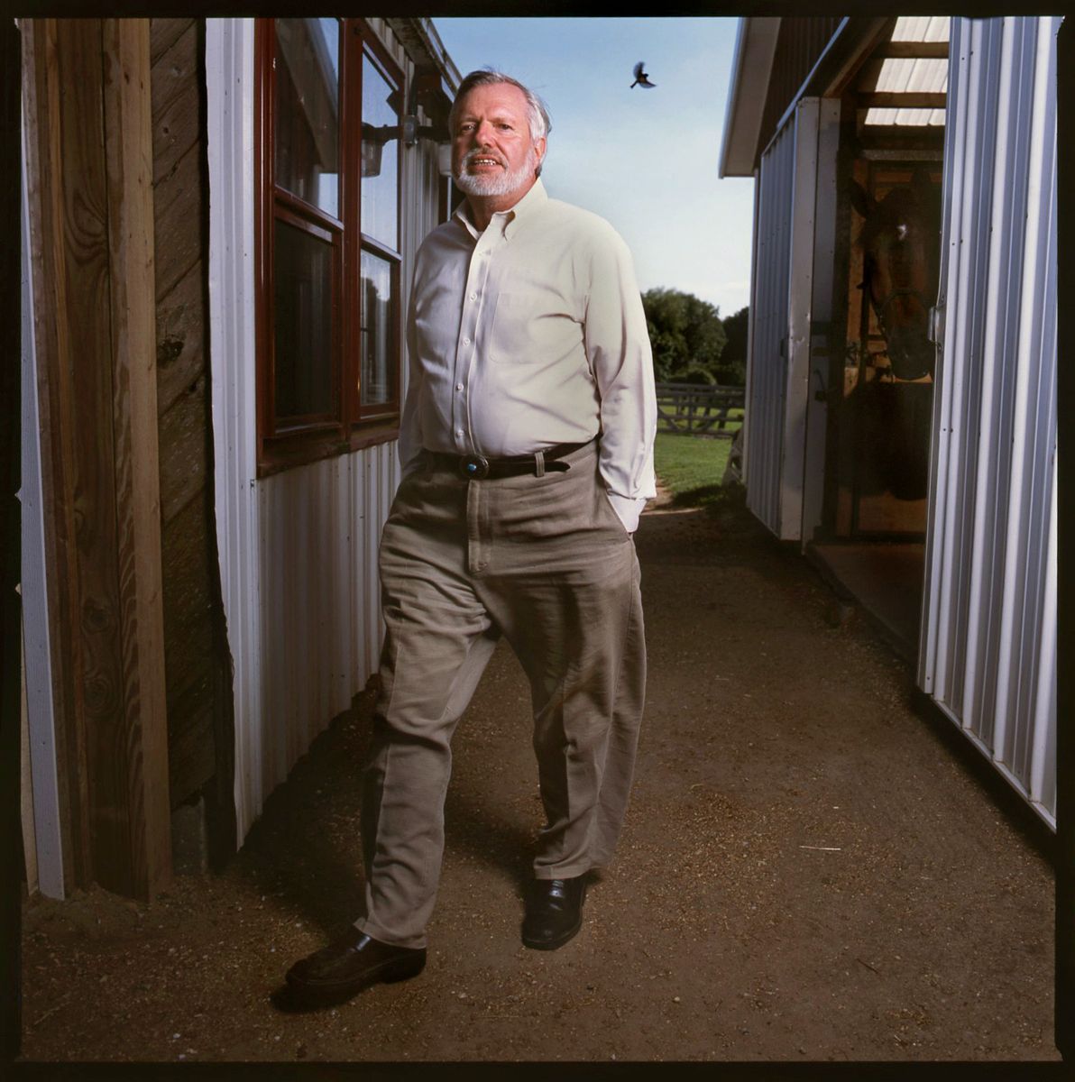 TONY HITCHCOCK