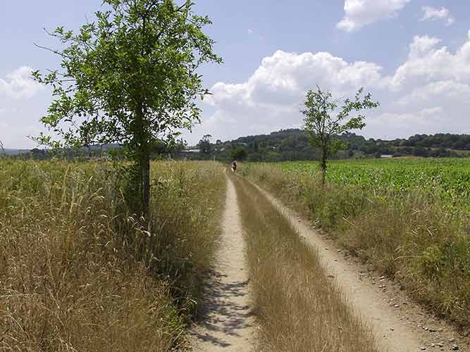 Santiago de Compestella, Spain