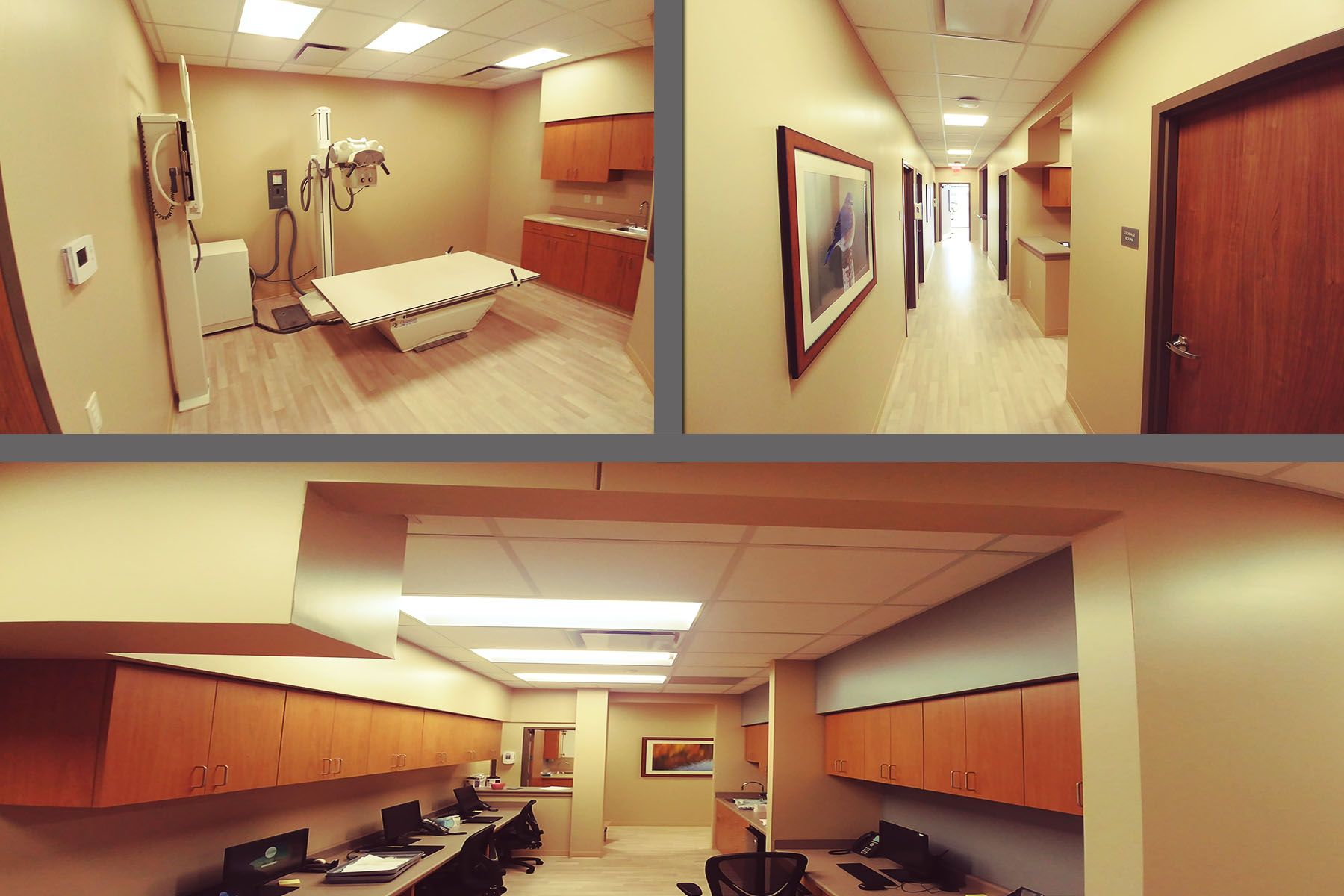 Physician's Suite - Urgent Care