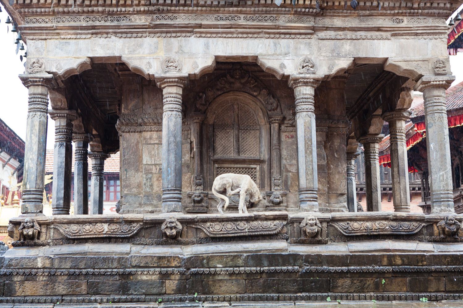 1dubai_editorial_photographer_abu_dhabi_editorial_photographer_uae_editorial_photographer_dubai_reportage_04_img_3667