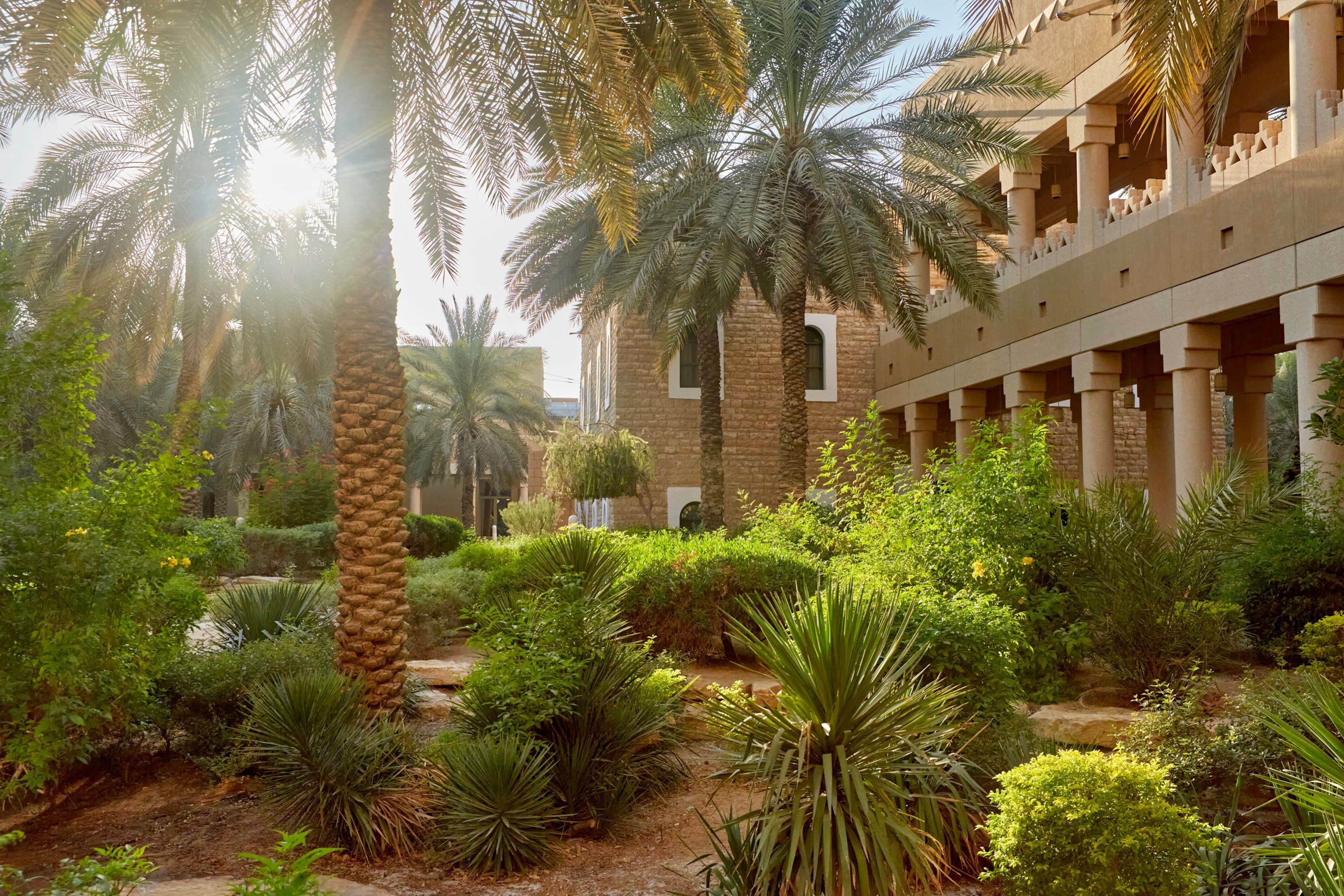 Saudi QoL Jonathan Gainer_031.jpg