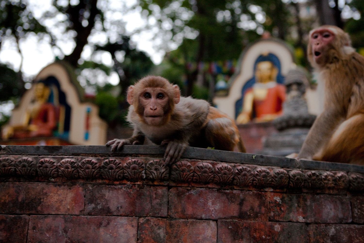 1dubai_editorial_photographer_abu_dhabi_editorial_photographer_uae_editorial_photographer_dubai_reportage_28_img_2345