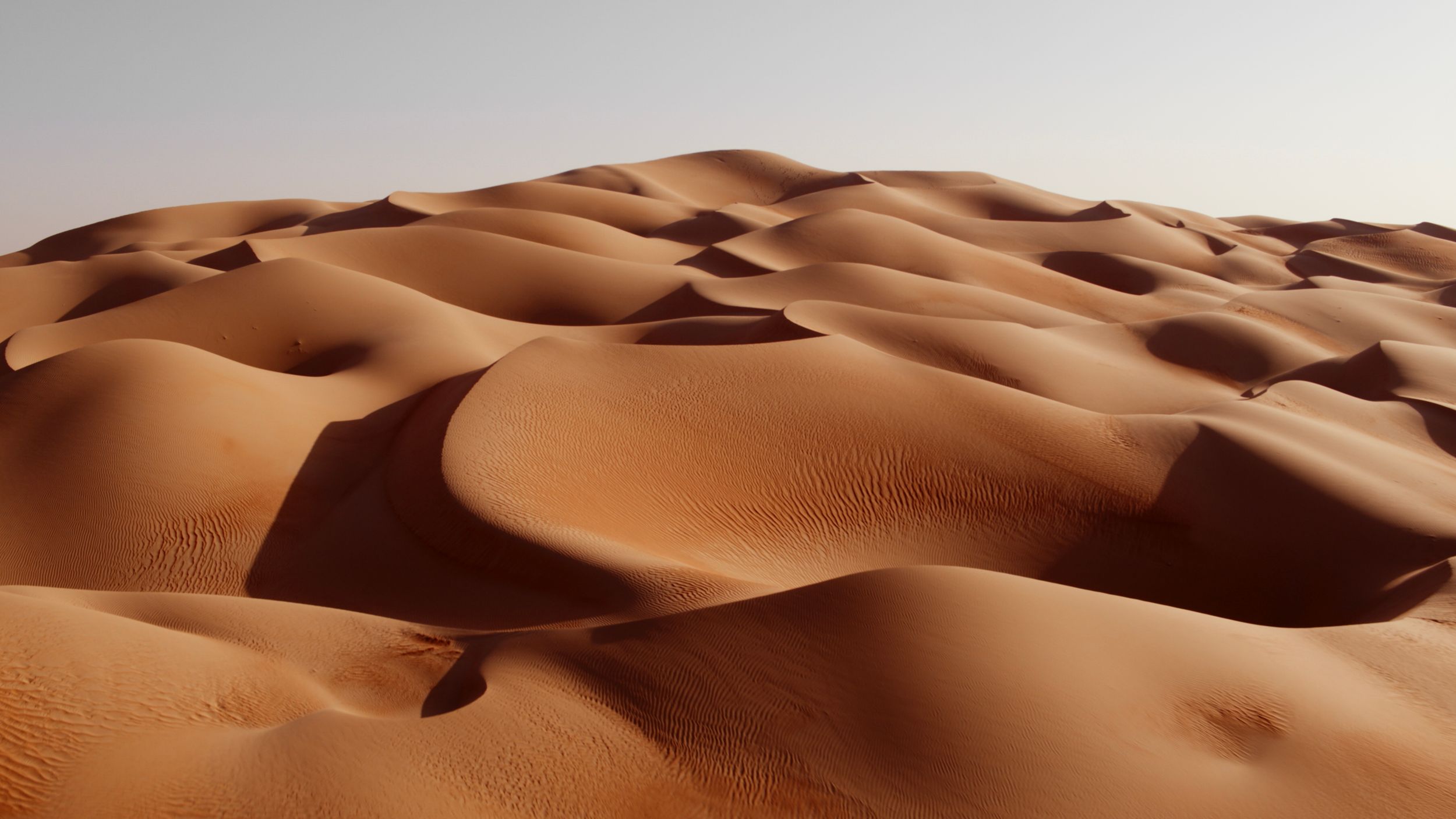 001_dune 1_00090021.jpg