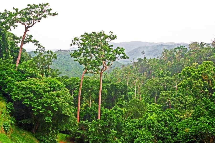 Quezon National Park