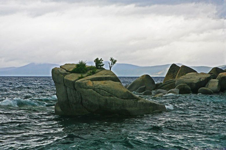 Bonsai Rock