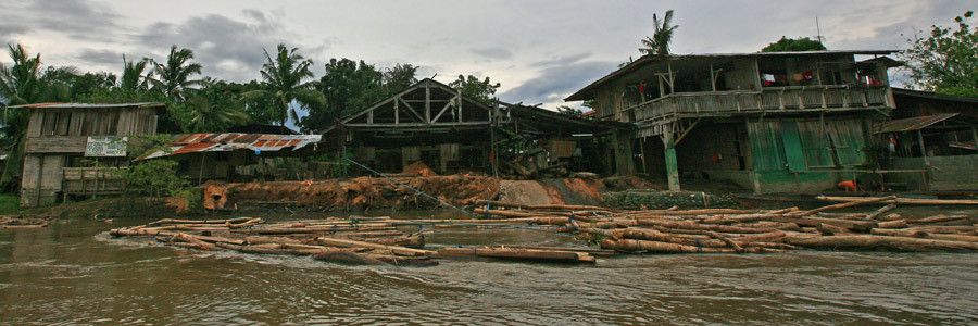 Sawmill on the River