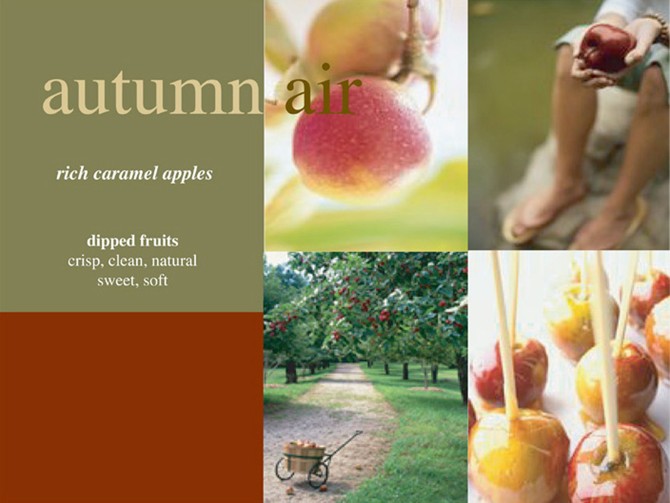 autumn-in-the-air.w.jpg