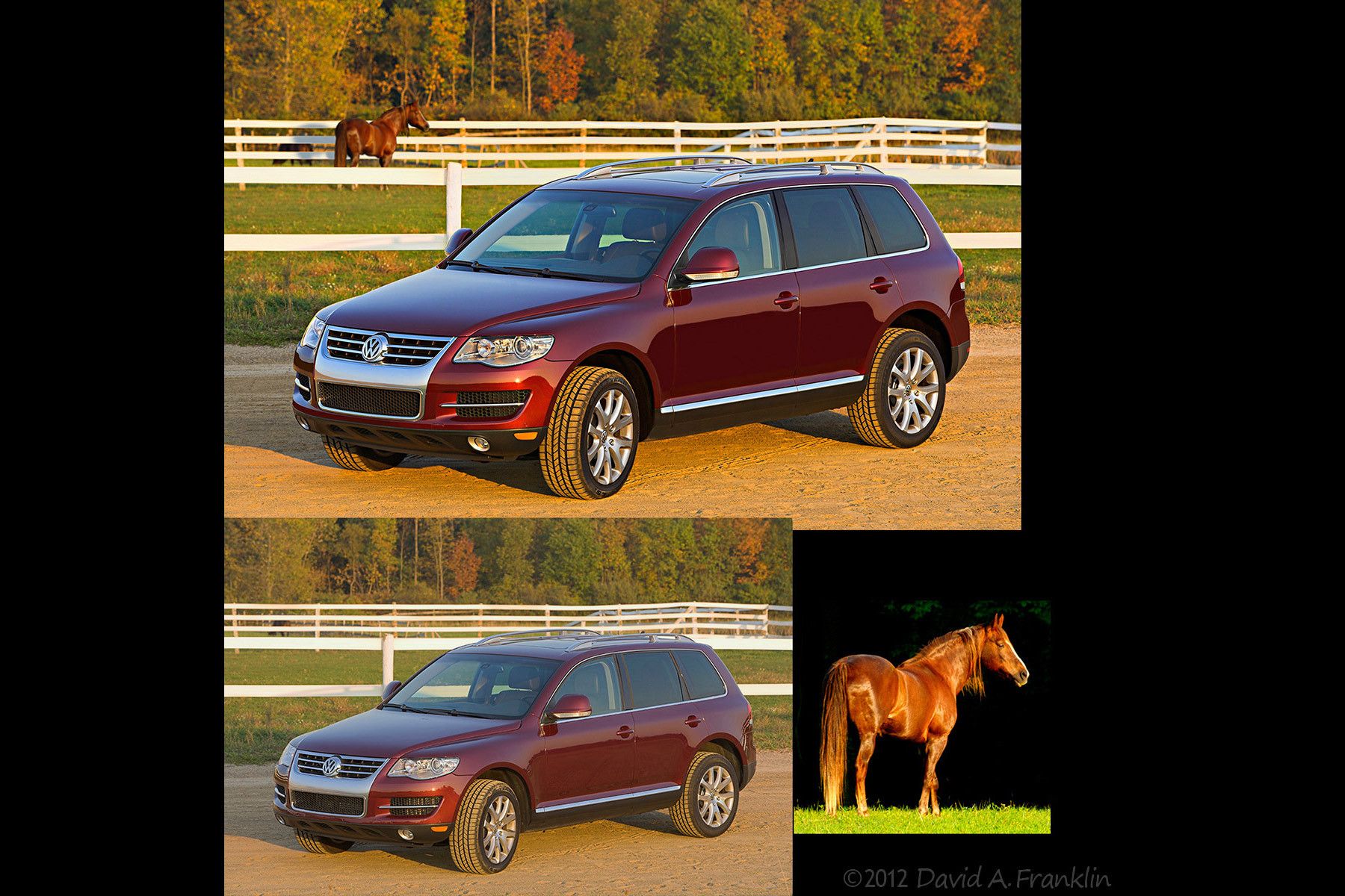 Retouching  Design & Illustration