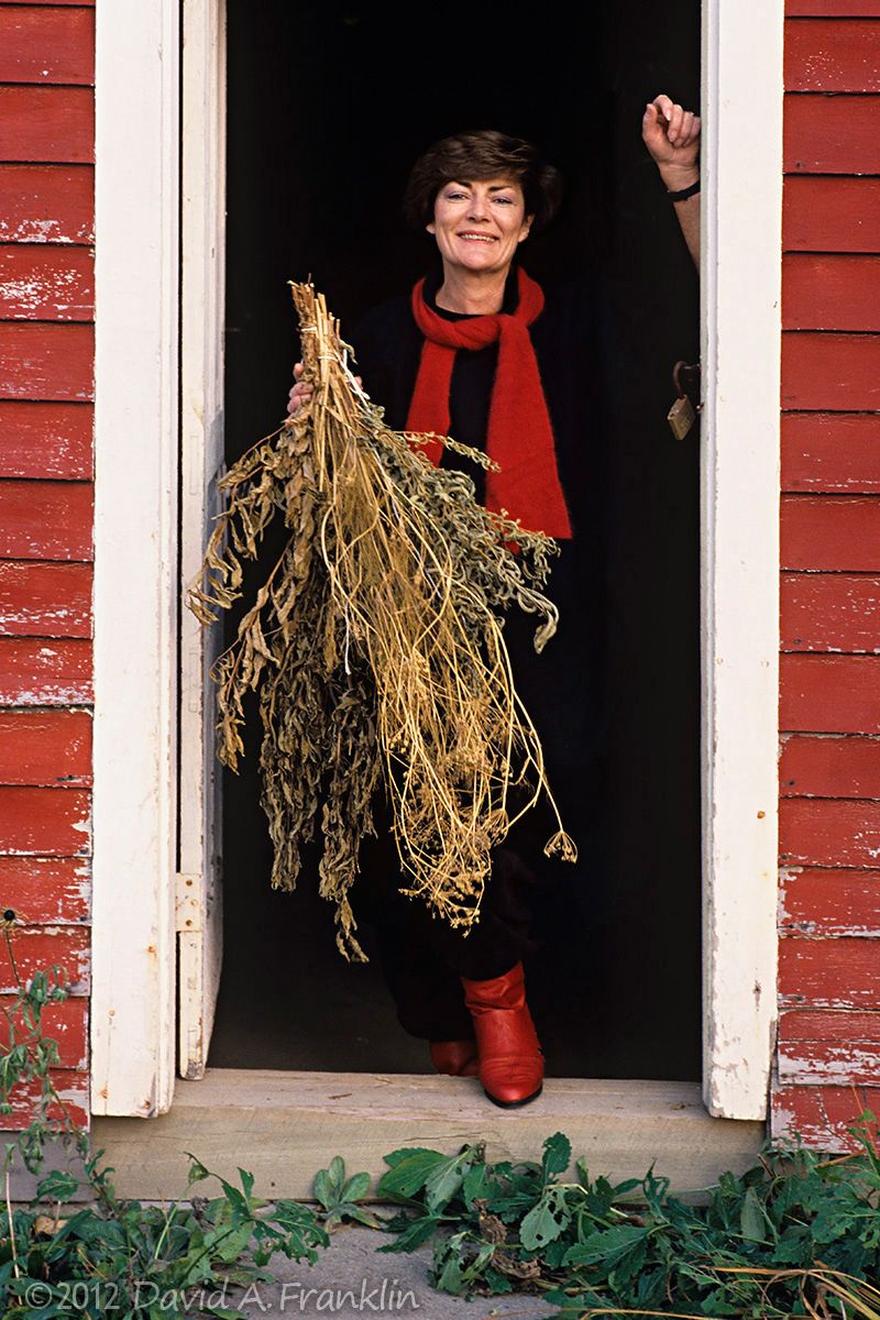 RestaurateurYvonneGill_GatheringHer OwnDriedHerbs_From HerBarn_Editorial