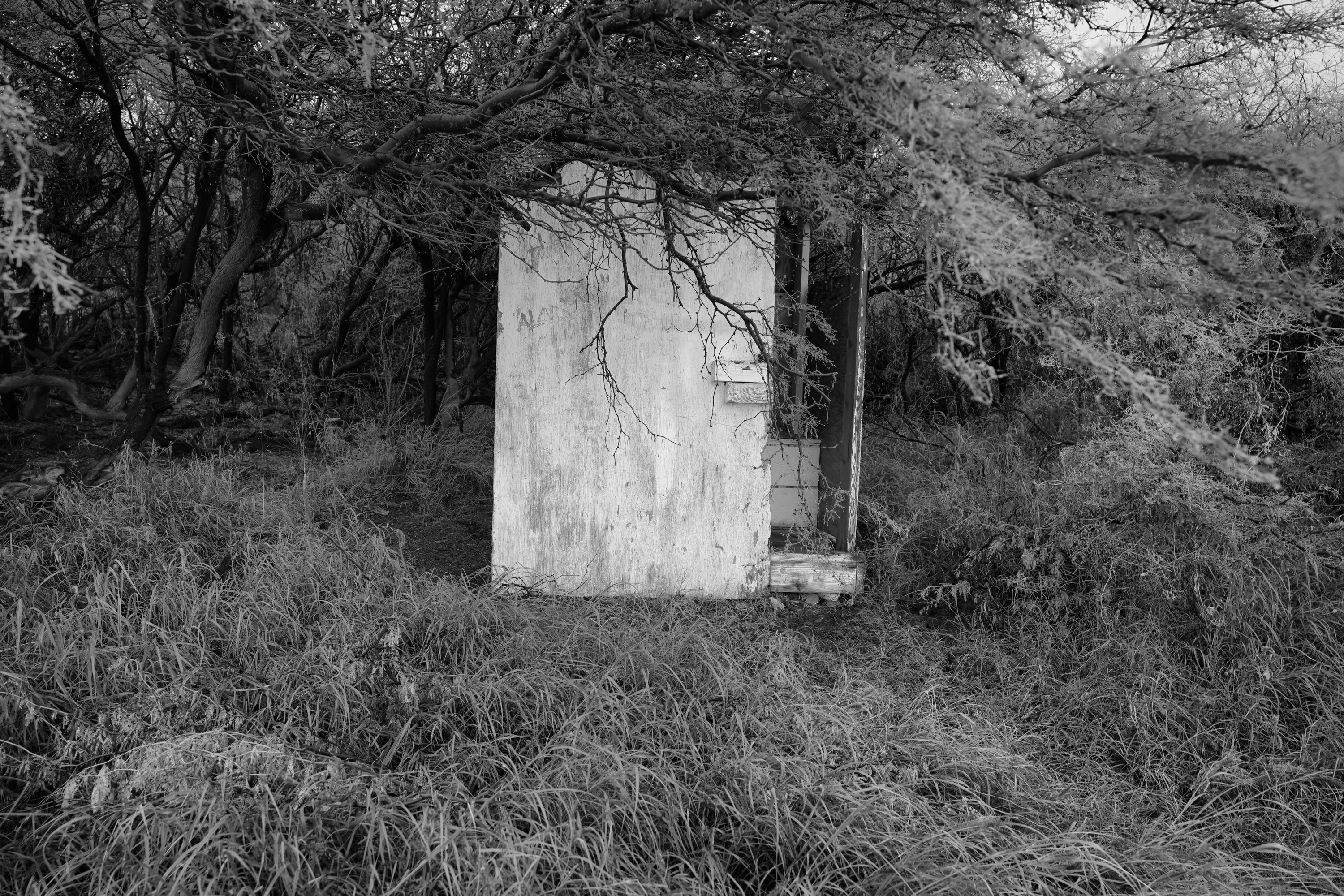 door to nowhere-.jpg