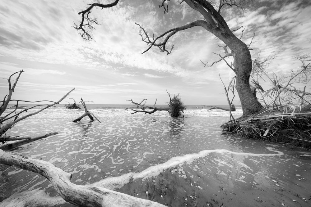 2022-03-27 - aftermath.jpg