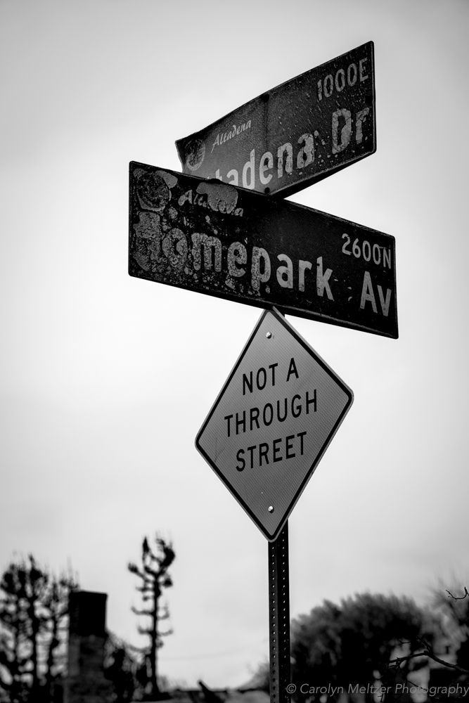 altadena-1-13.jpg