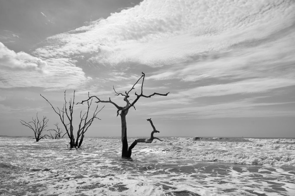 Then there were three