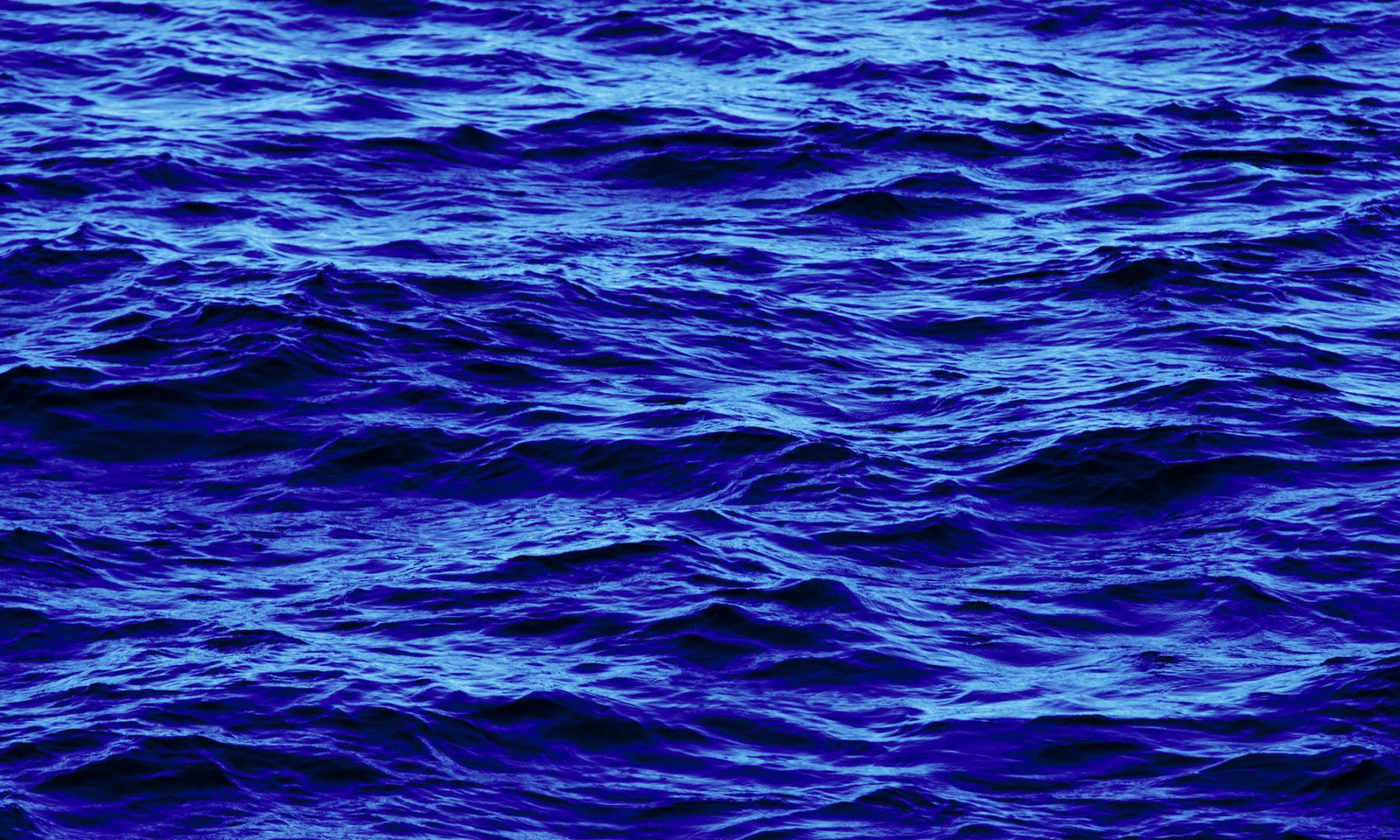 Atlantic Blue Montauk 2011