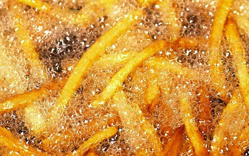 french fries kiyoshi togashi