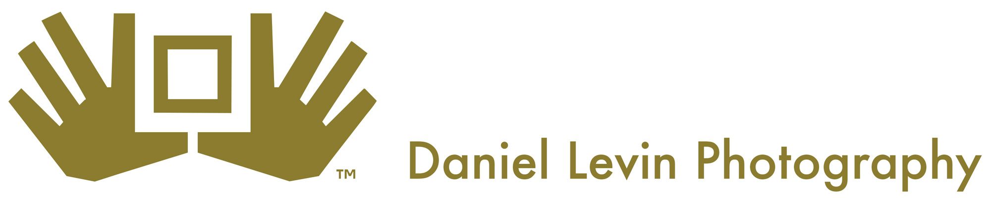 Daniel Levin Photography - splash logo