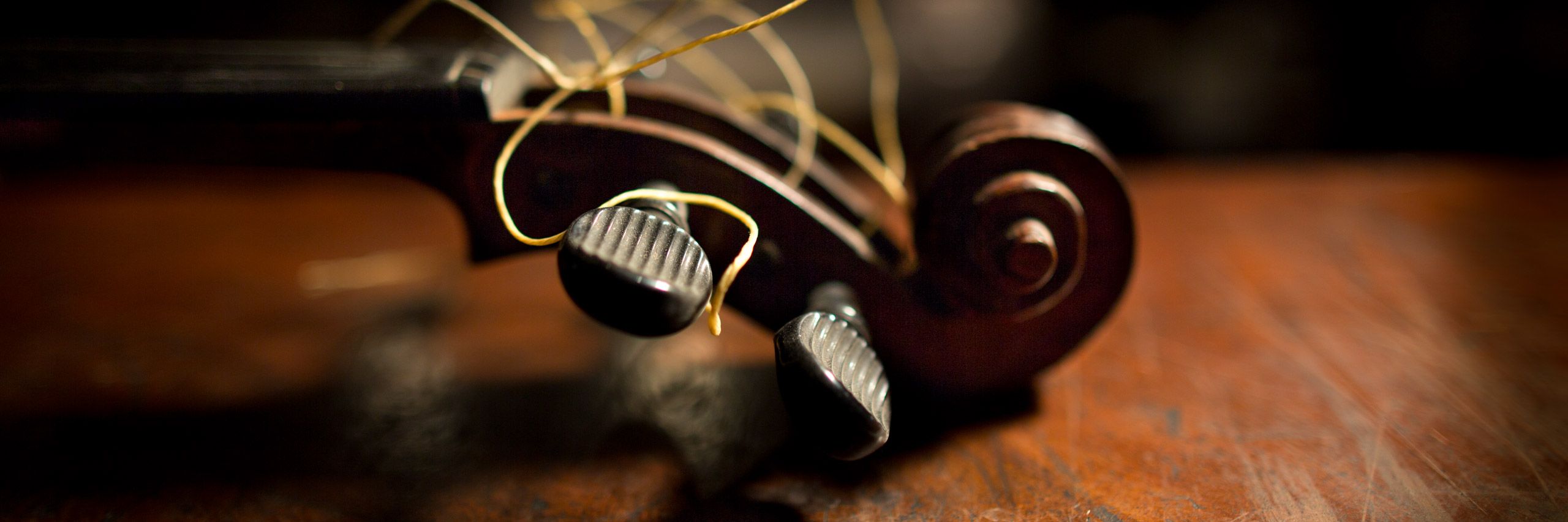 Begger violin . wide