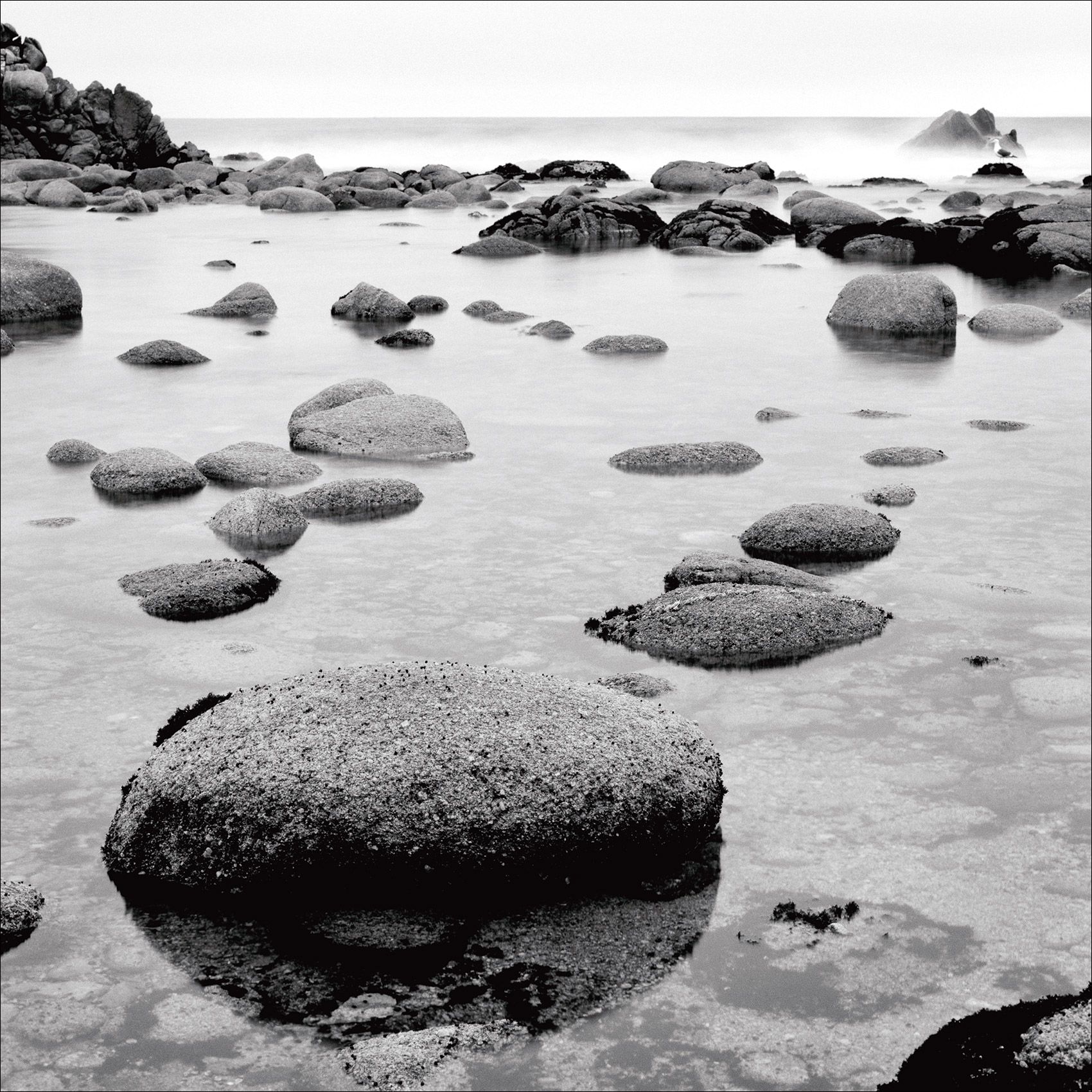California_Coastline_PacificGrove_BWPhotography.jpg