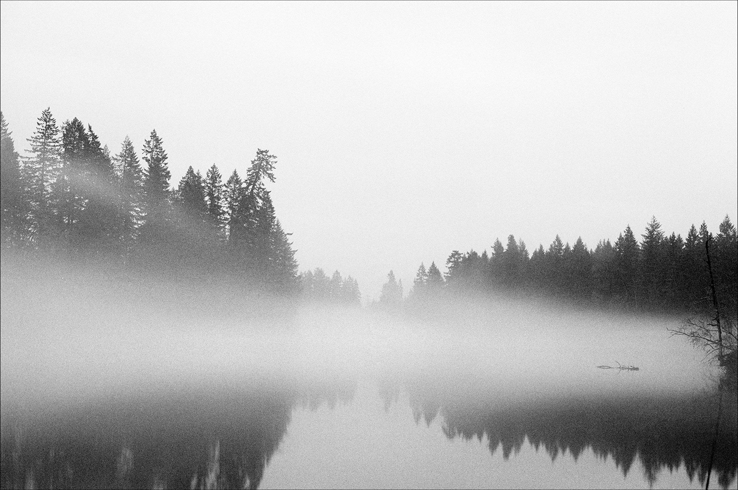16_EveningFog_PortflandOregon.jpg