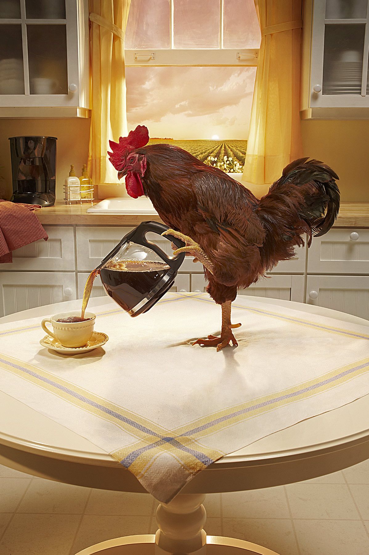 1rooster_pouring_coffee.jpg