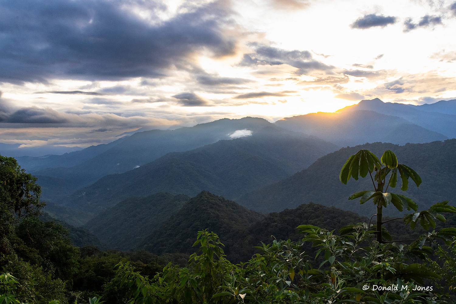 Scenic - Ecuador