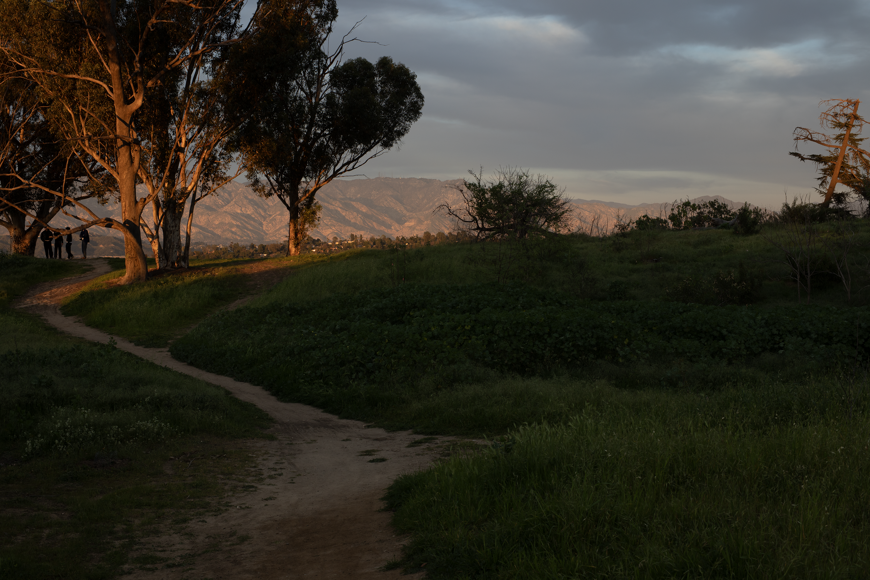 elysian park overlook.png