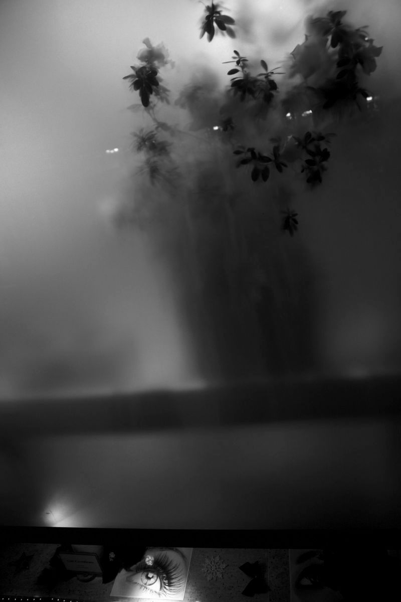 1img_9461___version_3