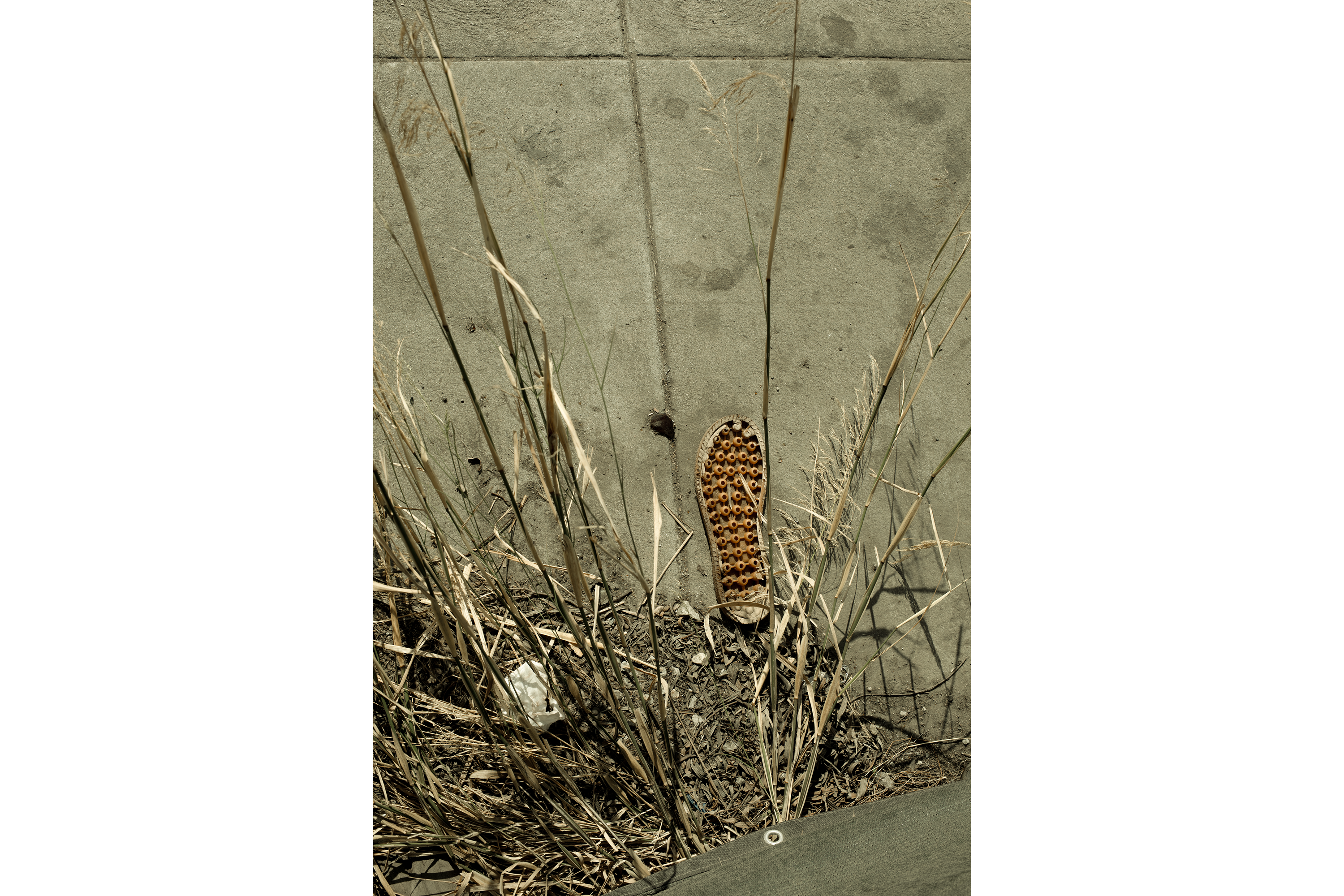 s. olive street & 113th st.. #D-2a1.png