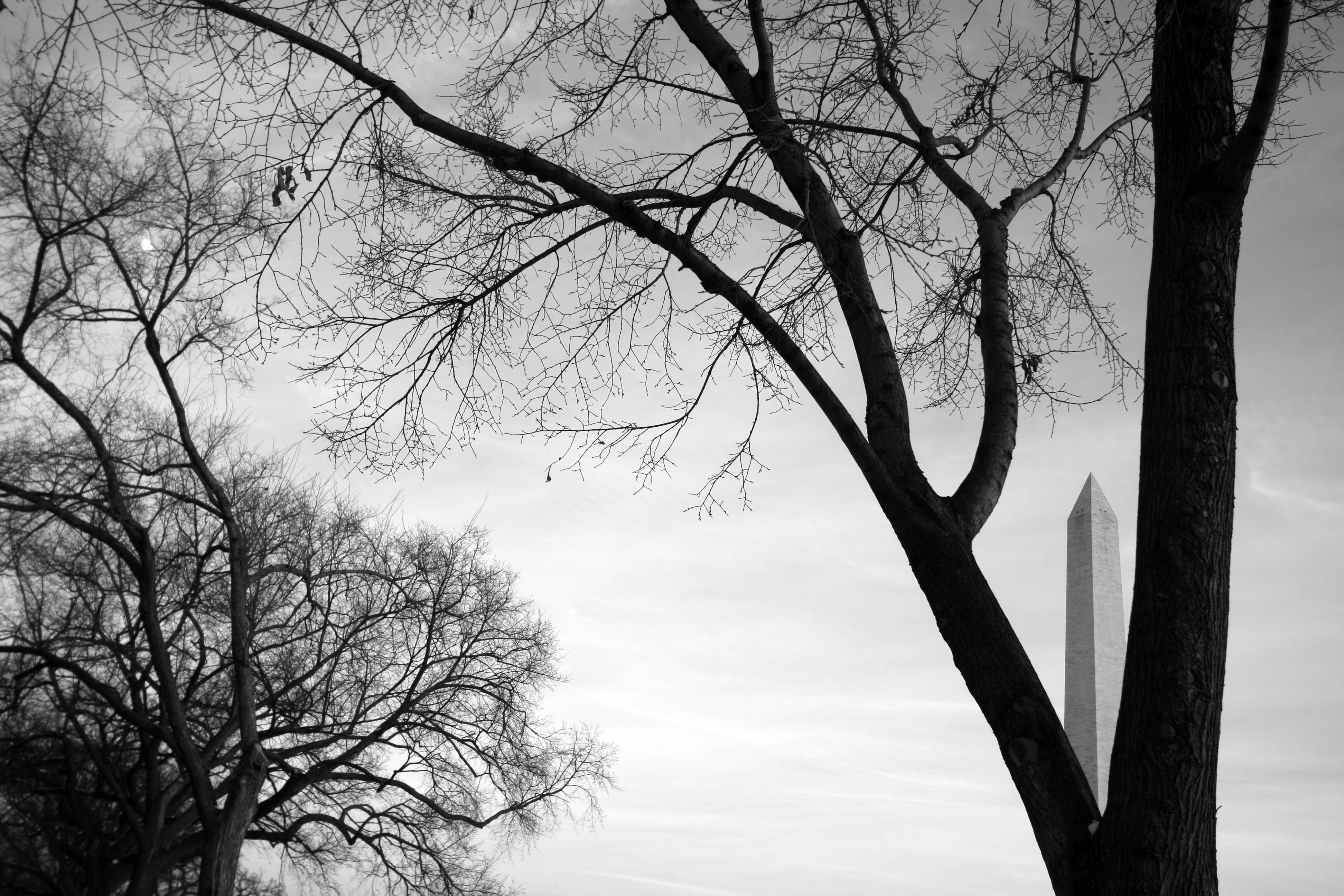 washington, dc 2011 #1a edited.jpg