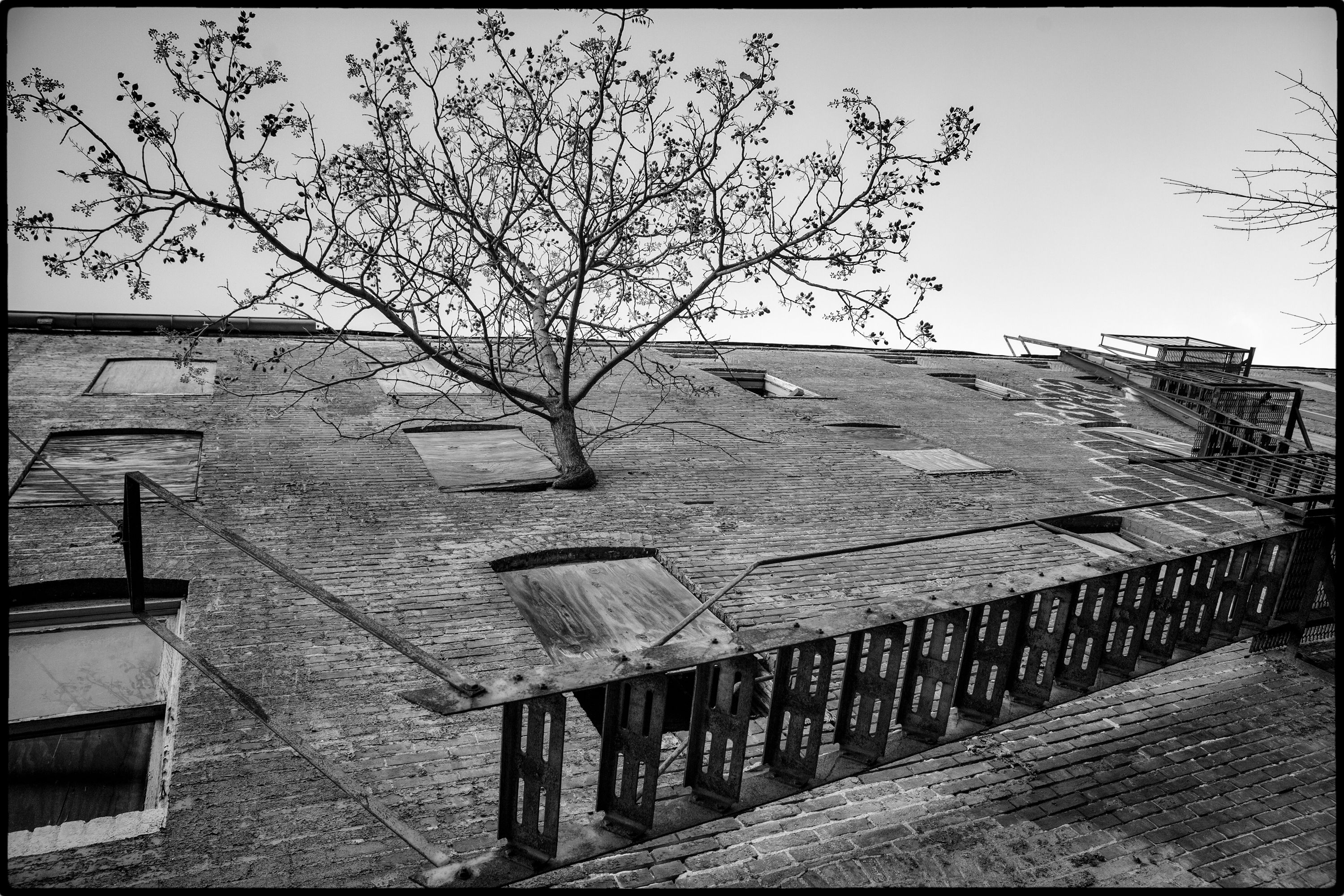 Baltimore 2017 #2a edited.jpg