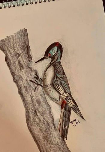Artwork by: Margie Vogelsang