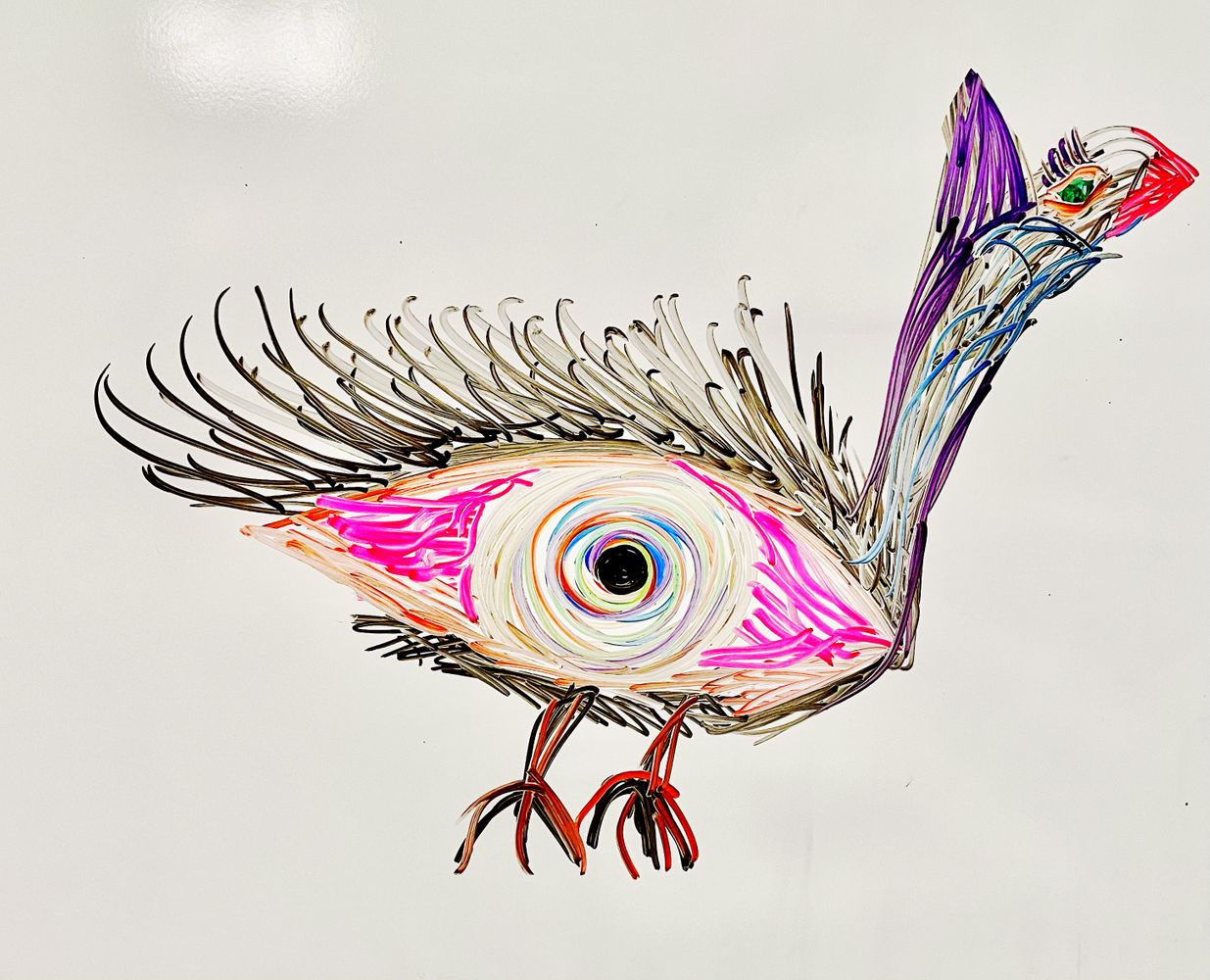 Artwork by: Liliana Aparo