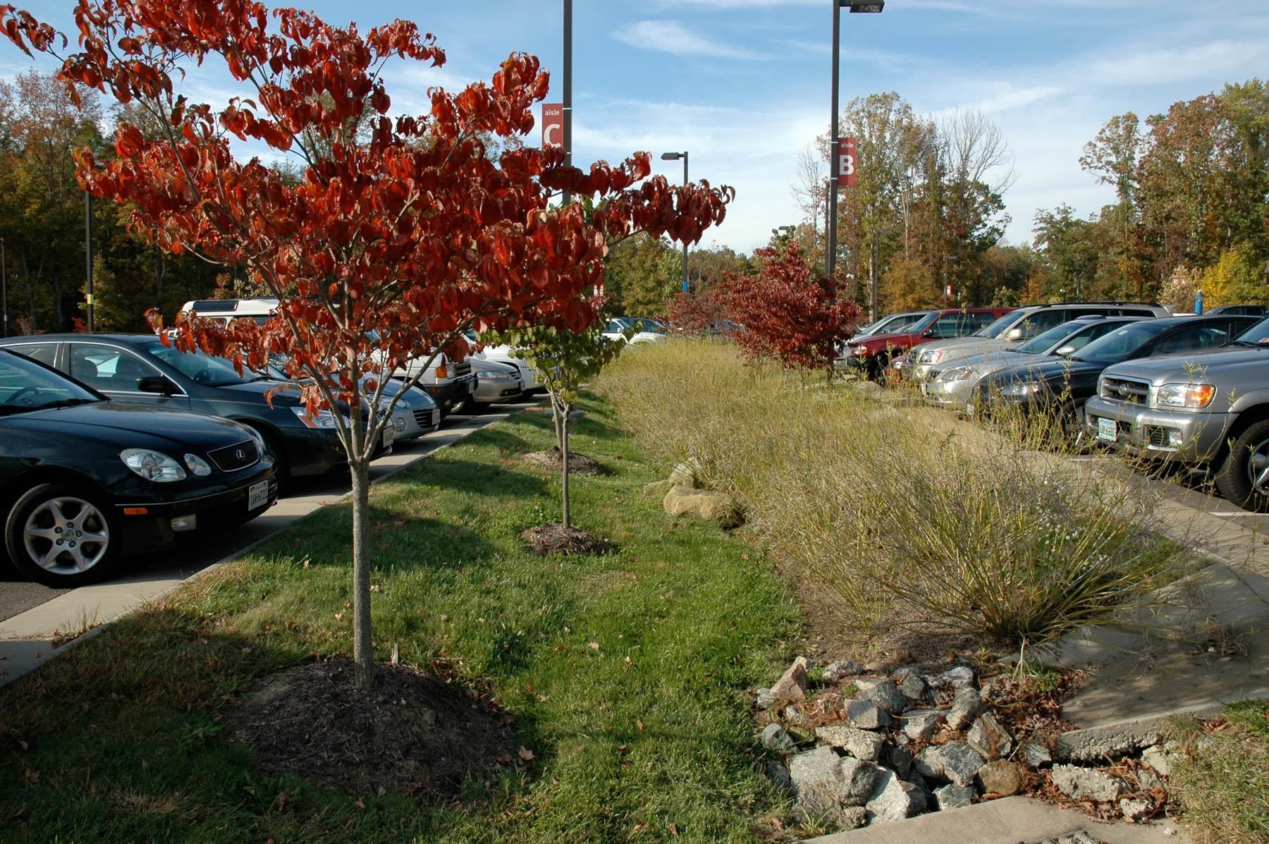 Capital One Campus - West Creek | Richmond VA - OLA | Oates Landscape ...