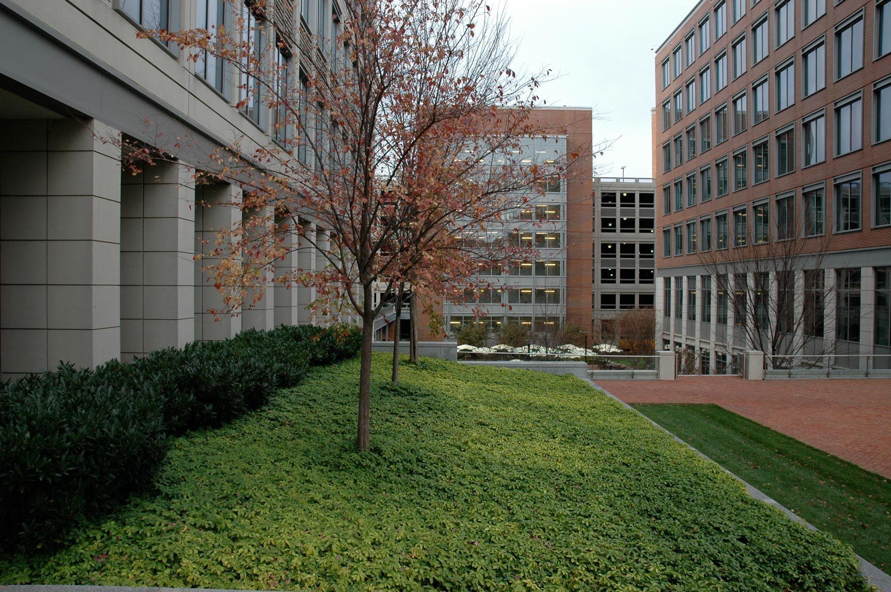 U. S. Patent + Trademark CampusCarlye Place | Alexandria VA