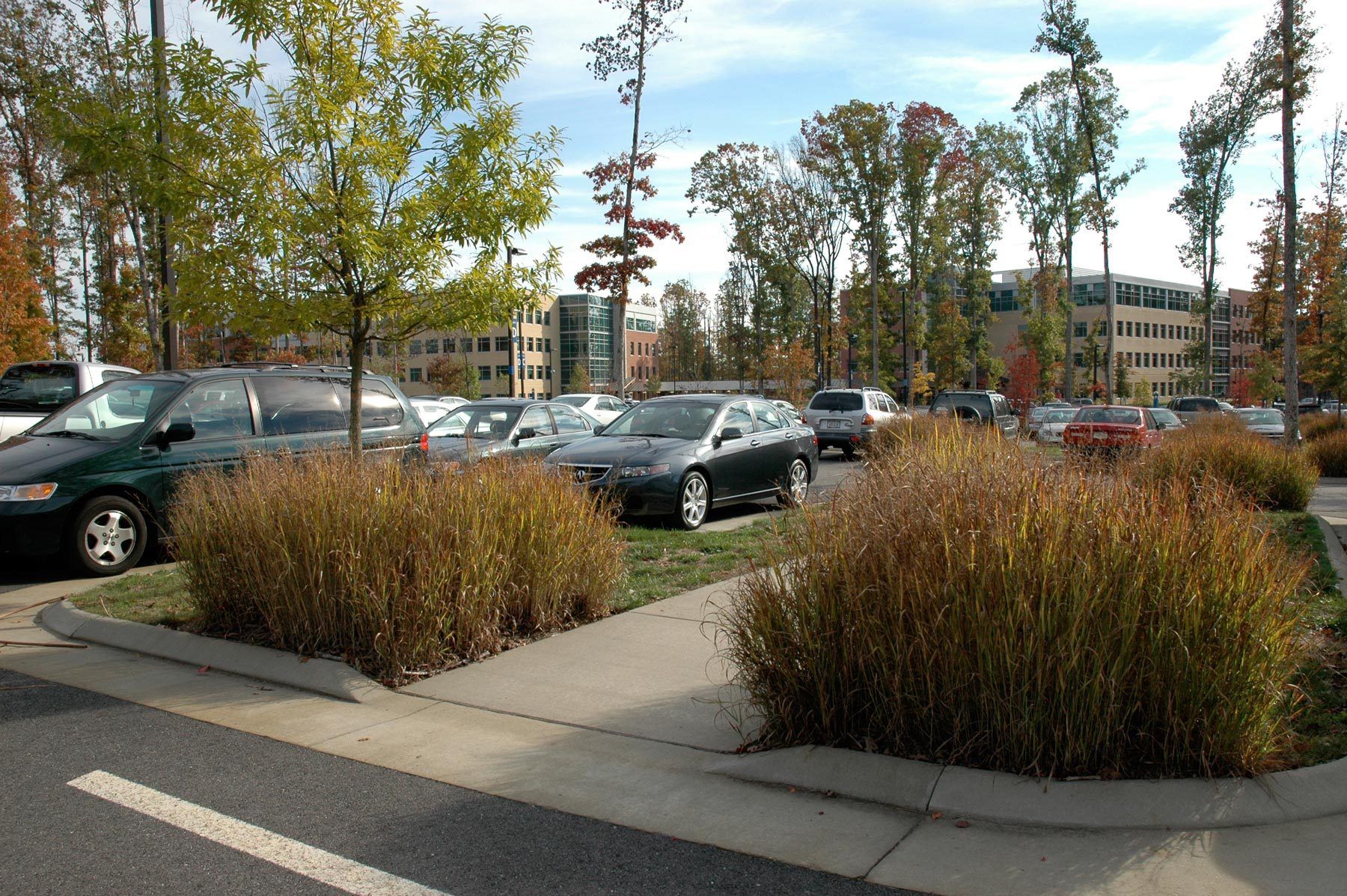 Capital One - Richmond | West Creek CampusGoochland Va | Phase One