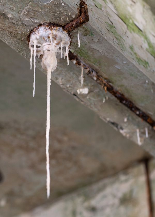 Harlem Valley State Hospital