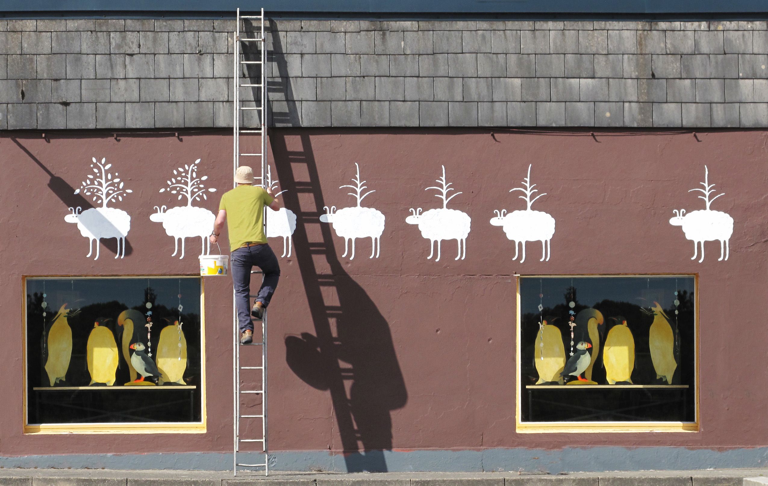 Painting sheep on a building in Ireland