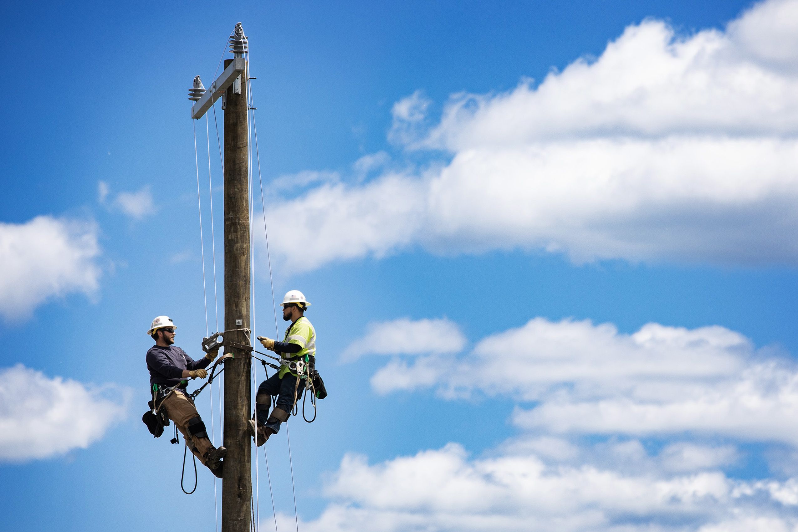 Linemen on a telephone pole