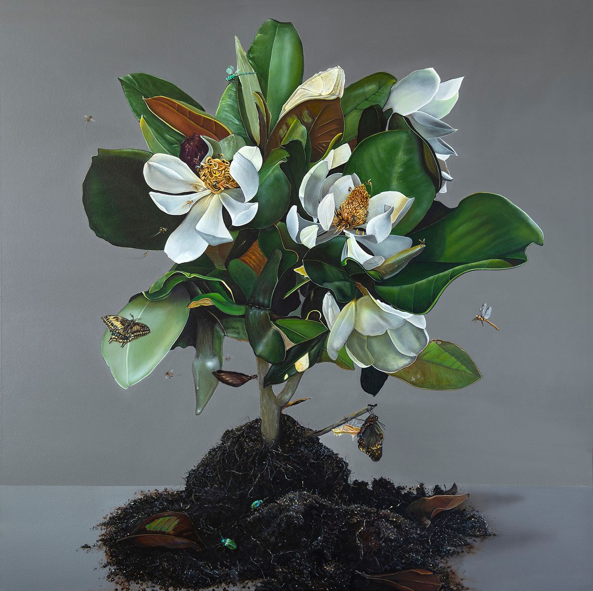 40”x 40” acrylic on canvas , 2025. TERRUÑO