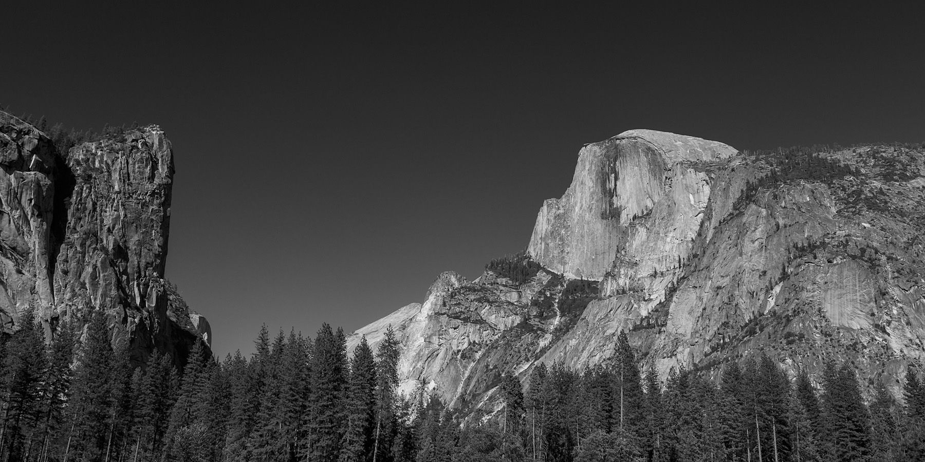 0678_YNP_101 copy 2.jpg