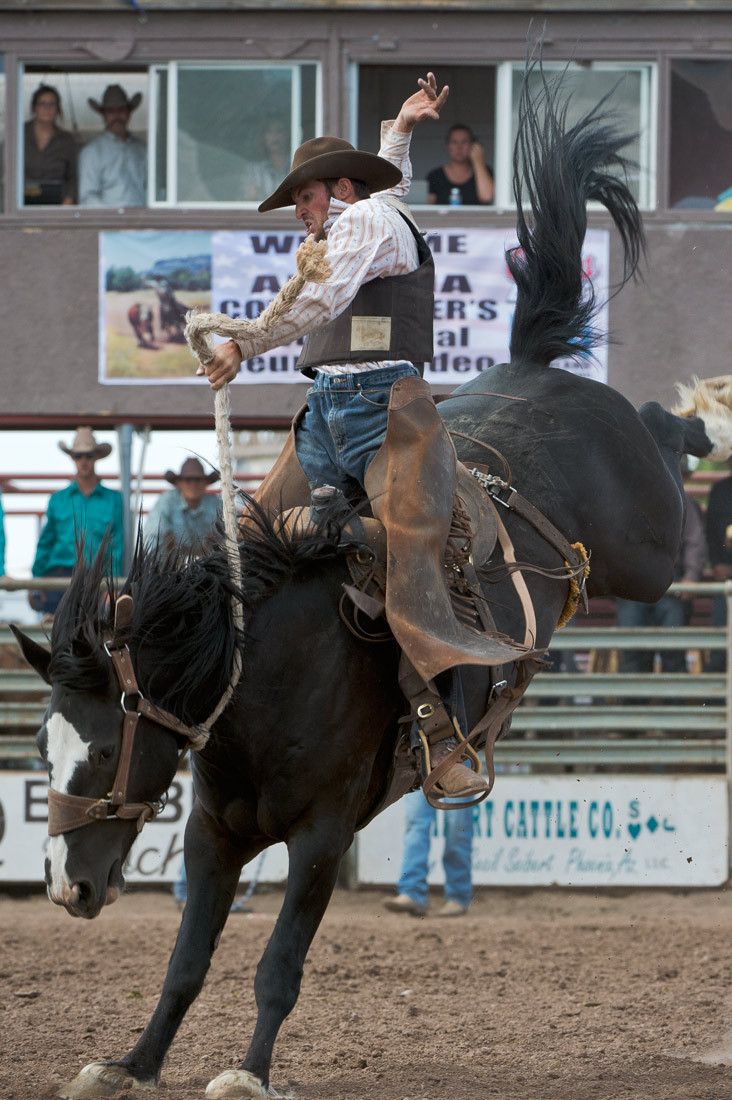 01586 Bronc Rider Olan Borg Arm Outstretched on Horse with Rear Legs Up
