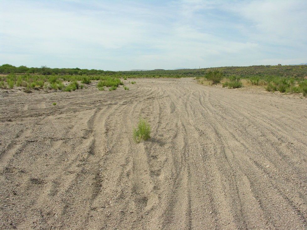 1image_exchange_proposals_san_pedro_050105_witzeman_dry_treeless_riverbed.jpg