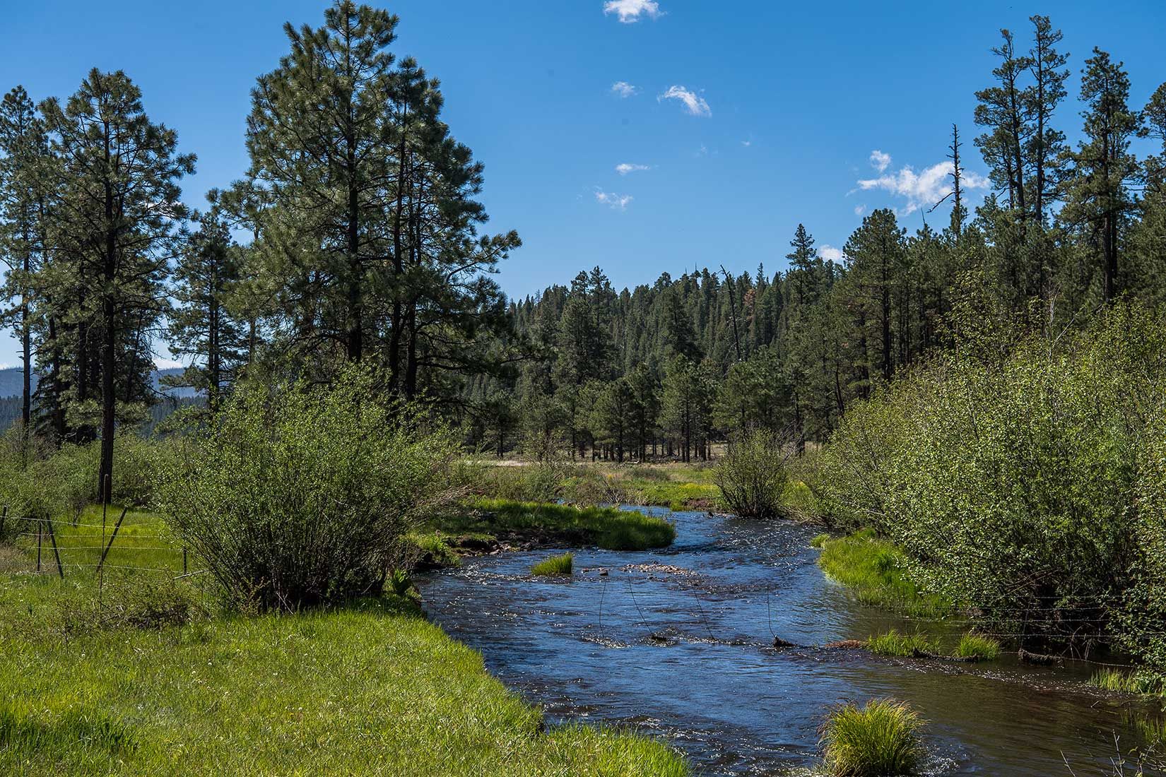 05332-West-Fork-Black-River-at-Forest-Road-68-Apache-National-Forest-20190604_DSC6007-new.jpg