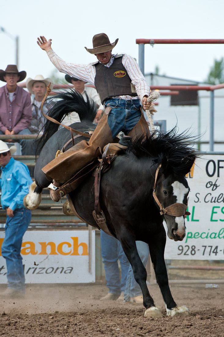 01584 Bronc Rider Olan Borg Arm Outstretched Horse with Rear Legs Up