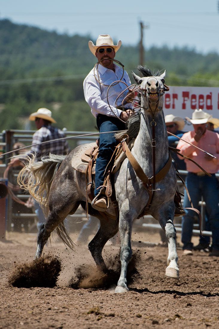 01578 Calf Roper Will Smith Anchoring Rope Dirt Flying