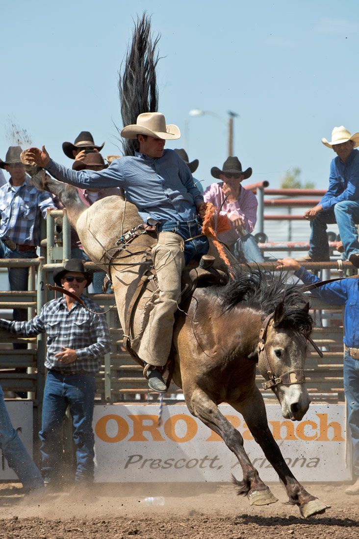 01587 Bronc Rider Matt Shiew Arm Outstretched on Horse with Rear Legs Up