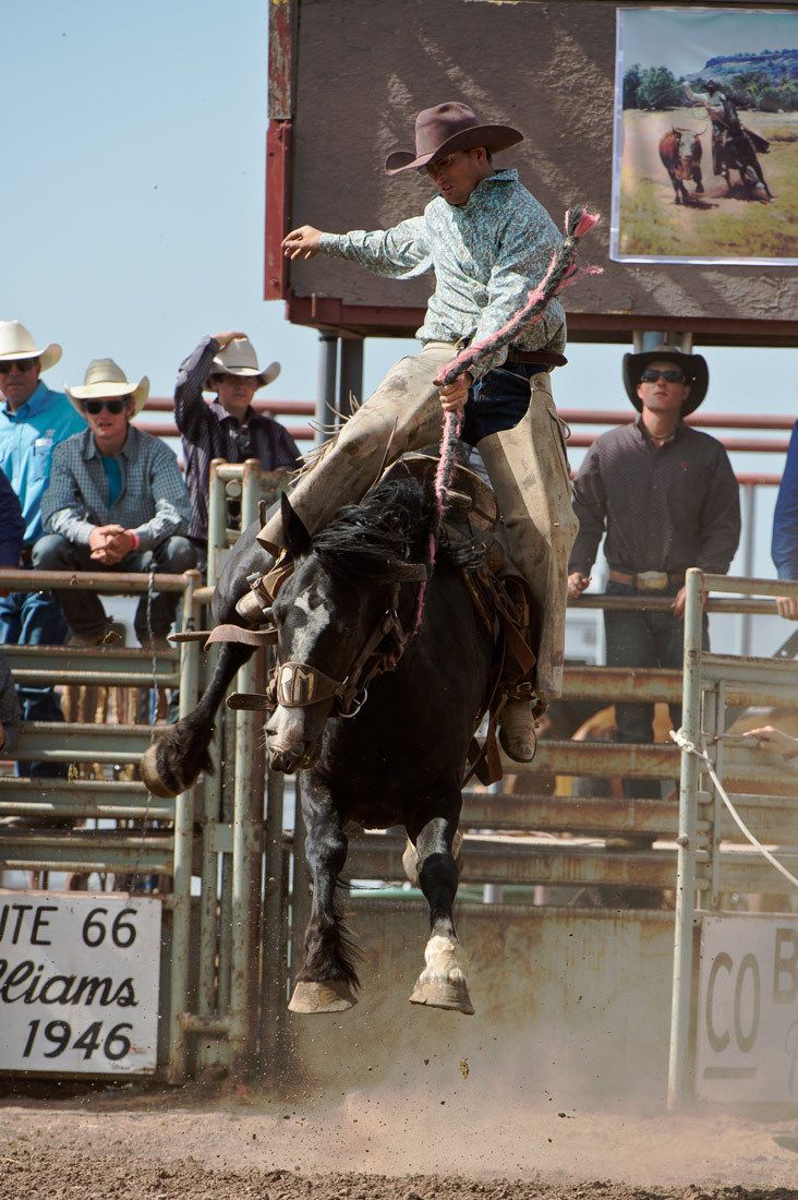 01589 Bronc Rider Ryan Manifee on Airborne Horse
