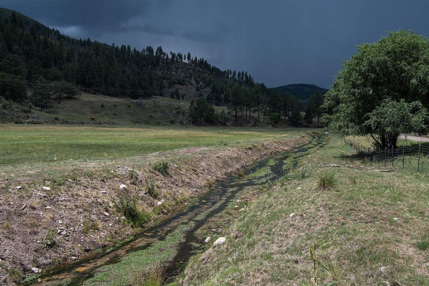05448-NMMJM-CH-Middle-Rio-Penasco-Lincoln-NF-20190803_DSC9160-DENUDED-STREAM-ON-PRIVATE-LAND-new.jpg